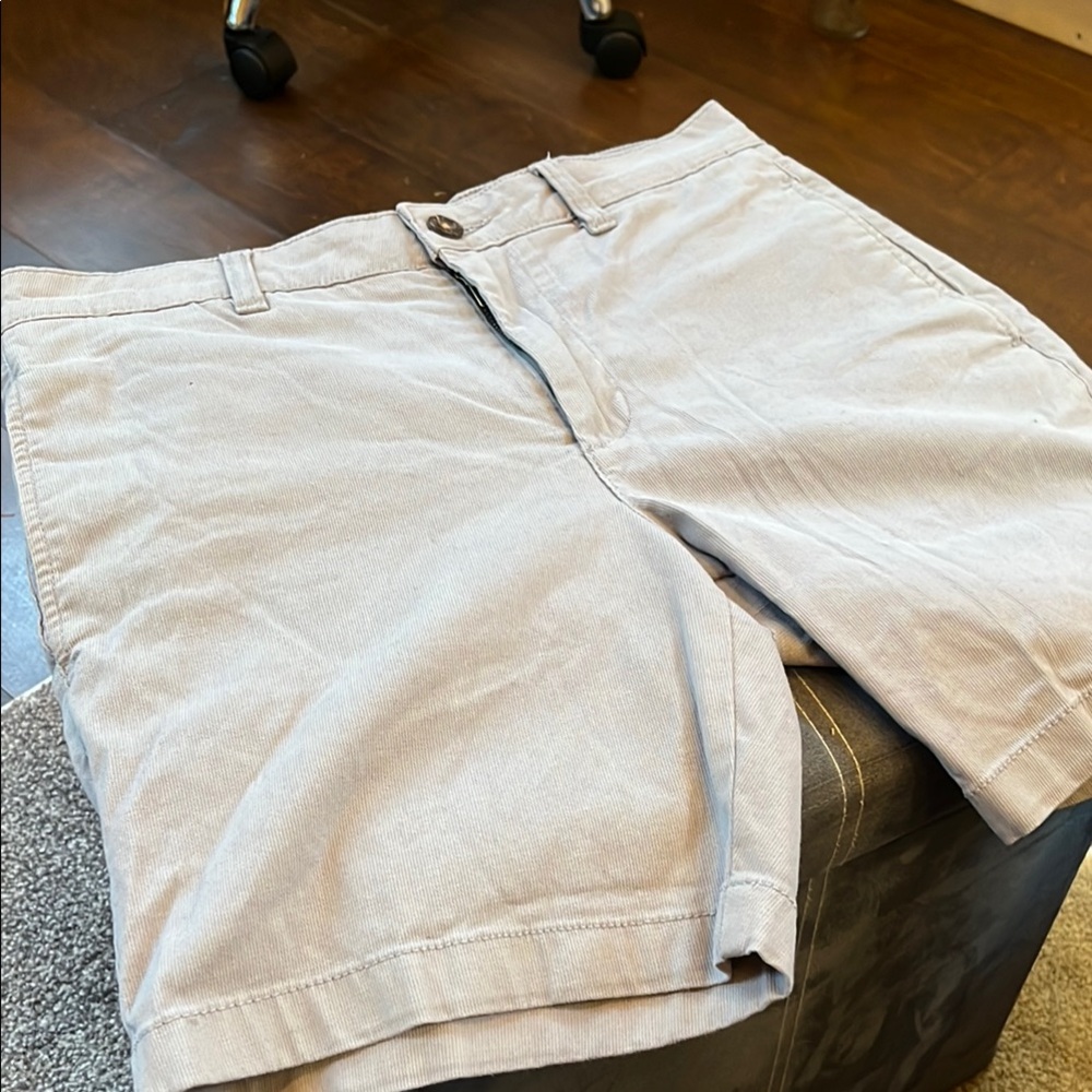 Tailor Vintage Men’s Shorts Size 30 Light Grey